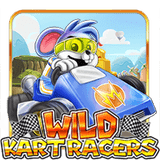 Wild Kart Racers